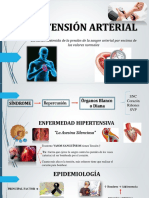 Hta Exposicion