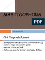 4A- MASTIGOPHORA.pptx