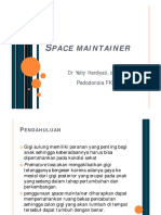 space_maintainer.pdf
