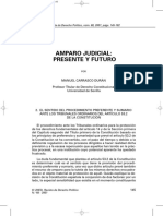 Amparo Judicial de Derechos Fundamentales