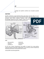 Apendisitis Akut