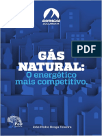LIVRO Gas Natural o Energetico Mais Competitivo