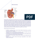 ANATOMI DAN FISIOLOGI GINJAL Bahan Presentasi