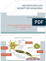 Reseptor Sensorik