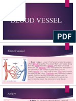 CARDIOVASCULAR SYSTEM (The Blood Vessels)