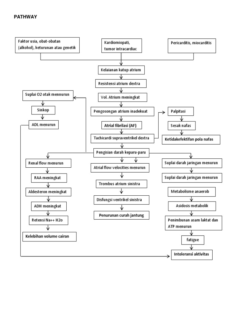 Pathway AF | PDF