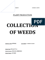 Plant - Weed Collection
