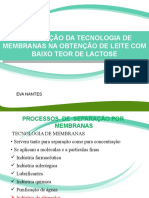 Seminario Leite II