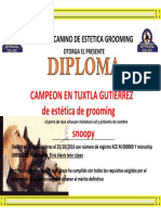 Diploma