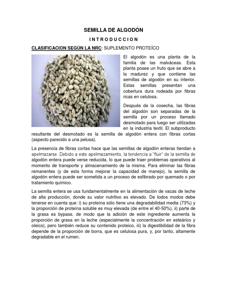 Semilla de Algodón en Alimentación Animal, PDF, Algodón