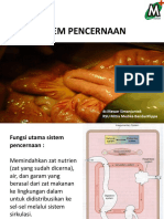 Sistem Pencernaan (Mawar).ppt