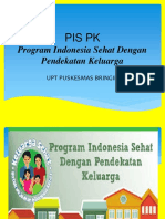 Pis PK