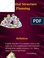 Capital Structure Planning