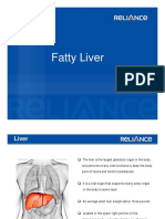 Understand Fatty Liver