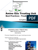 Amine_Gas_Treating_Unit_Best_Practices_-.pdf