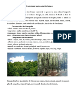 Ecosistemul unei paduri de foioase.doc