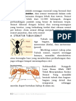 Respirasi Manusia Hewan Dan Tumbuhan