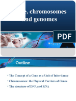 Gene, Chromosomes and Genomes