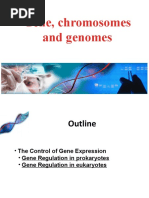 Gene, Chromosomes and Genomes