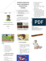 Leaflet Cacing