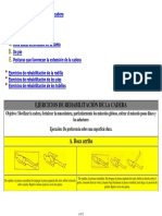 Ejercicios de Rehabilitación de La Cadera. a. Boca Arriba