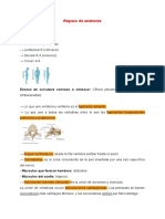 Anatomía pulmonar y torácica en