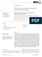 Calcium Transport Across Plant Membranes: Mechanisms and Functions