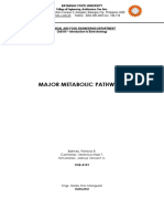 Updated Written Report-Group 9 (Major Metabolic Pathways)