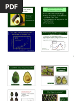 Avocado Ripeness Stages Guide | PDF | Avocado | Edible Fruits