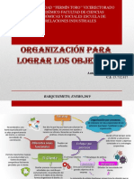 MAPA MILBER RIVERO organización para lograr los objetivos.pdf