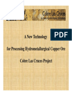 Cognis Copper Update F - Cobre Las Cruces Presentation