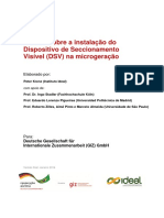 aneel_analise_dsv.pdf