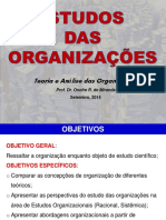 08,09,14 Estudo Das Organizações