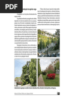 Selecçao de Especies