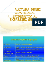 6 - Structura Genei Si Controlul Epigenetic Al Expresiei Genice (Neagos Daniela)