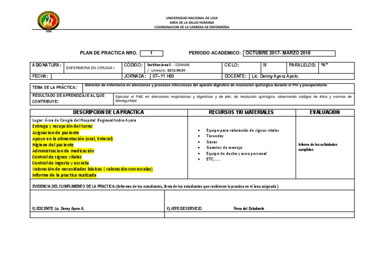 Formato de Practica Hospitalaria | PDF | Enfermería | Medicina CLINICA