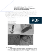 Ringkasan Jurnal