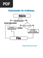 solucionador de problemas