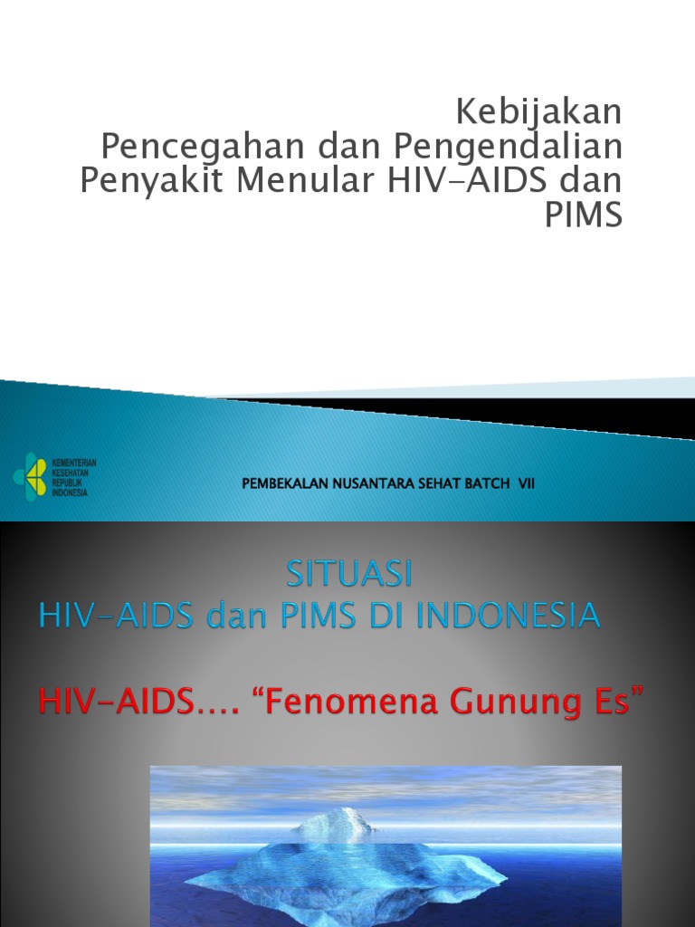 Program HIV AIDS Dan IMS | PDF