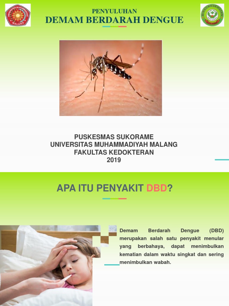 Penyuluhan DBD PDF