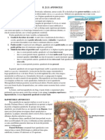 II. 2. Topografia Peretelui Abdominal