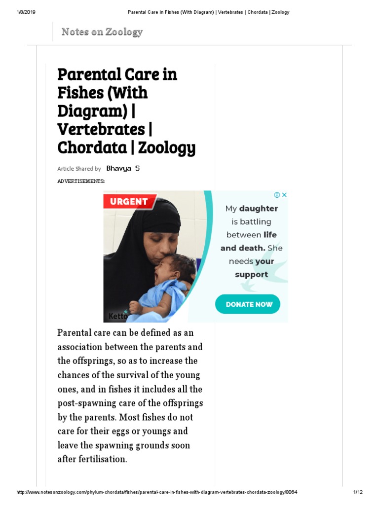 Parental Care in Fishes (With Diagram) - Vertebrates - Chordata ...