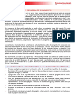 5.3 Programa de Iluminacion PDF