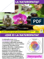 Que Es La Naturopatia. Introduccion. Fundamentos. Bases Teoricas