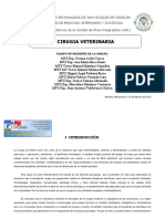 119631118-cirugia-veterinaria.pdf