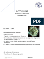 Arenavirus.pptx