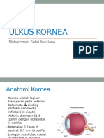 Ulkus Kornea