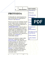 Protozoa 2 PDF