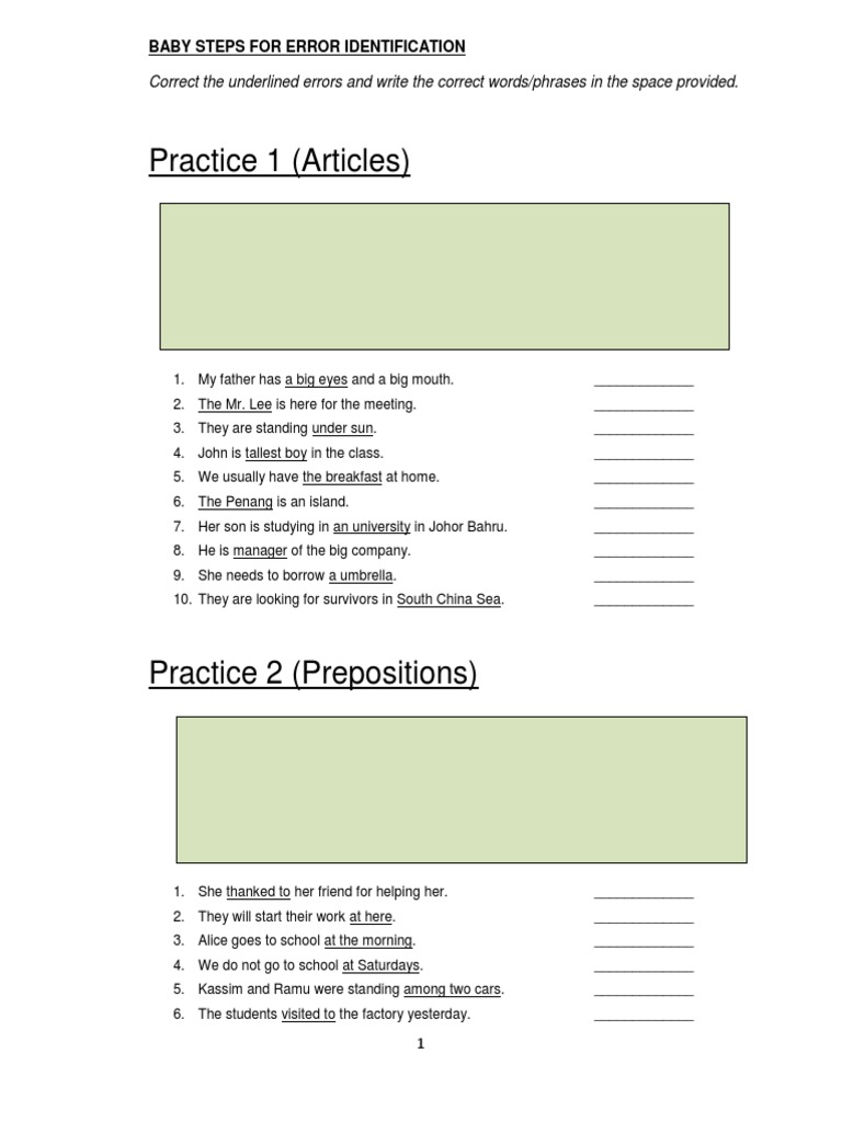 Error Identification | PDF | Grammar | Onomastics