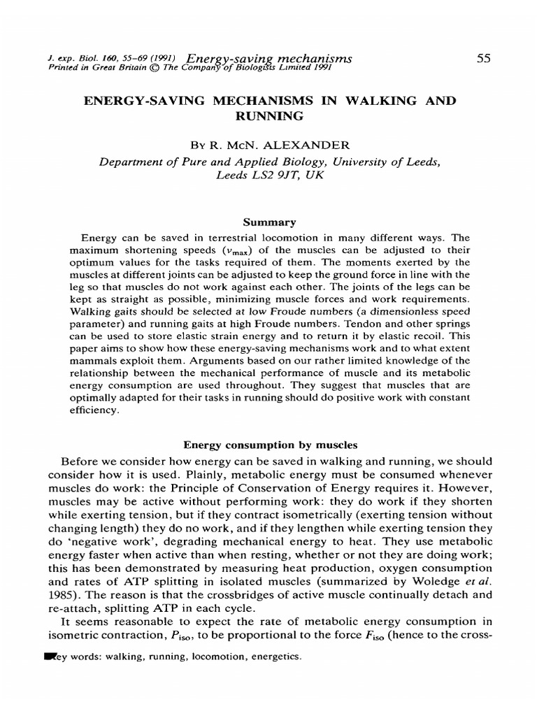 Energy-Saving in Walking and Running | PDF | Horse Gait | Running
